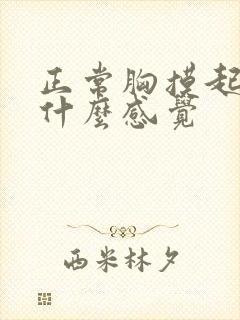 正常胸摸起来是什么感觉