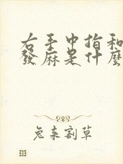 右手中指和食指发麻是什么原因引起的