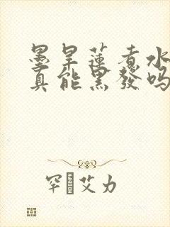 墨旱莲煮水洗头真能黑发吗封面