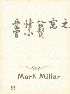 爱情公寓之极品曾小贤