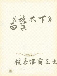 《放不下》半截白菜封面