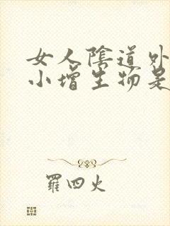 女人阴道外面起小增生物是怎么回事