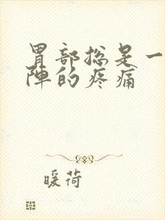 胃部总是一阵一阵的疼痛封面