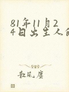 81年11月24日出生人的命运