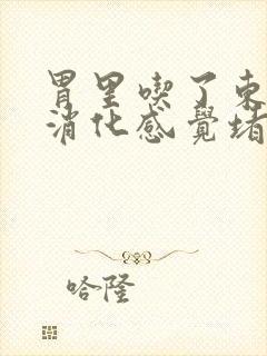 胃里吃了东西不消化感觉堵得慌