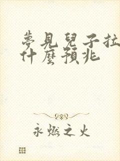 梦见儿子拉屎是什么预兆封面