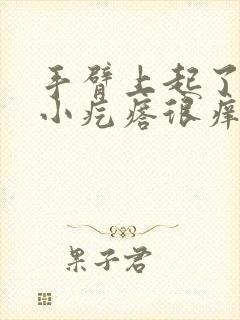 手臂上起了很多小疙瘩很痒怎么回事