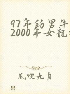 97年的男牛和2000年女龙相配封面