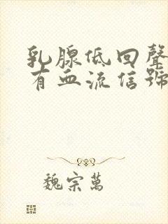 乳腺低回声结节有血流信号