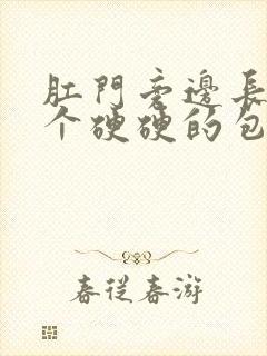 肛门旁边长了一个硬硬的包,一按就疼封面