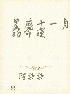 农历十一月十五的命运封面