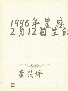 1996年农历2月12日生的命运