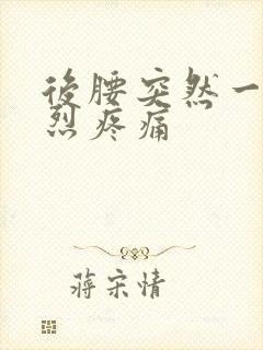 后腰突然一阵剧烈疼痛