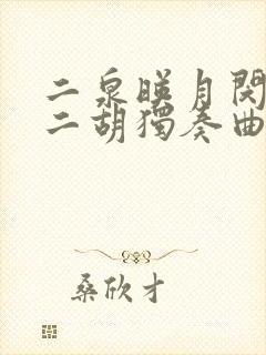 二泉映月闵惠芬二胡独奏曲封面