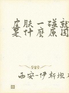 皮肤一碰就出血是什么原因