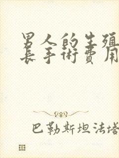 男人的生殖器延长手术费用是多少