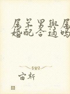 属羊男与属牛女婚配合适吗