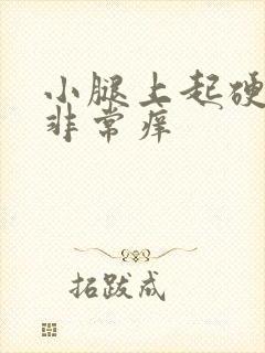 小腿上起硬疙瘩非常痒