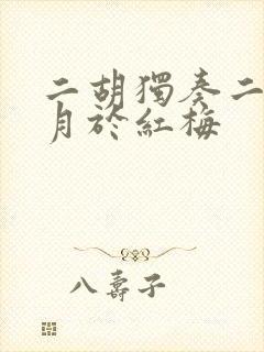 二胡独奏二泉映月于红梅