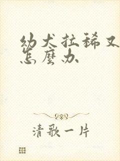 幼犬拉稀又呕吐怎么办封面