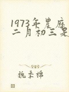 1973年农历二月初三是什么命