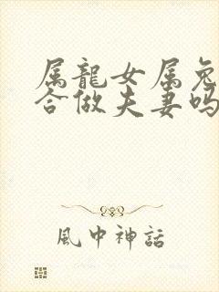 属龙女属兔男适合做夫妻吗