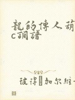 龙的传人葫芦丝c调谱