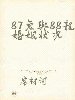 87兔与88龙婚姻状况