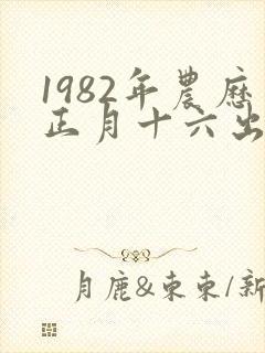 1982年农历正月十六出生的人命运怎么样