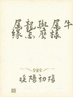 属龙与属牛的姻缘怎么样封面