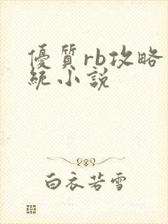 优质rb攻略系统小说