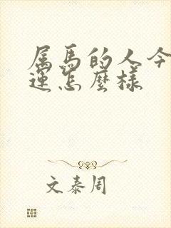 属马的人今天财运怎么样