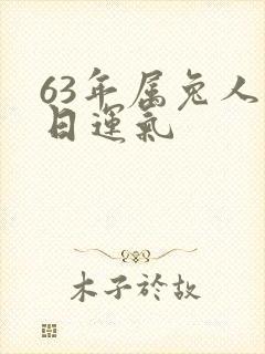63年属兔人今日运气