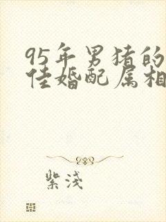 95年男猪的最佳婚配属相