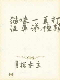 猫咪一直打喷嚏流鼻涕,但精神很好