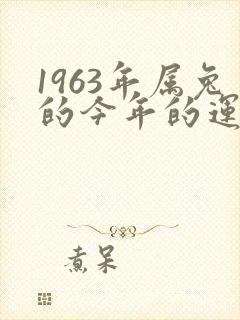 1963年属兔的今年的运势怎样
