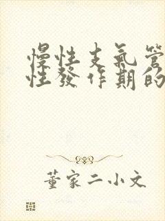 慢性支气管炎急性发作期的特点