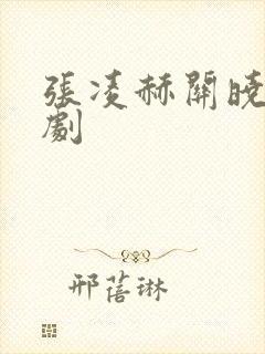 张凌赫关晓彤新剧