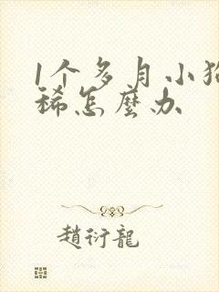 1个多月小狗拉稀怎么办