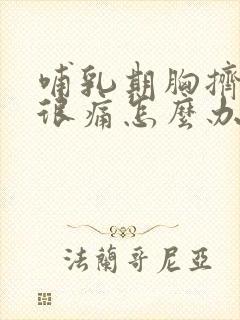 哺乳期胸挤到了很痛怎么办