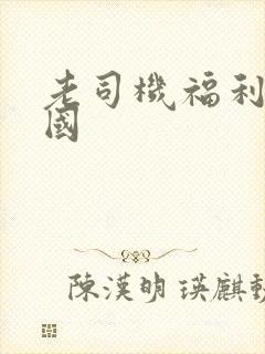 老司机福利91国