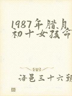 1987年腊月初十女孩命运封面