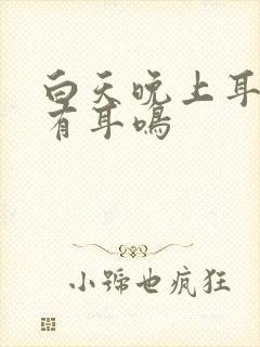 白天晚上耳朵都有耳鸣