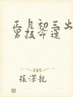 正月初三出生的男孩命运