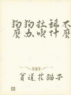 狗狗拉稀不吃怎么办吃什么药