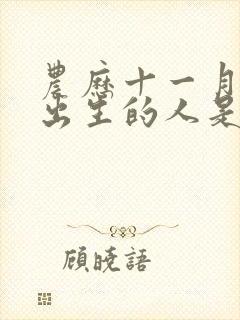 农历十一月十一出生的人是什么命