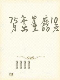 75年农历10月出生的兔一生运势