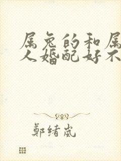 属兔的和属狗的人婚配好不好