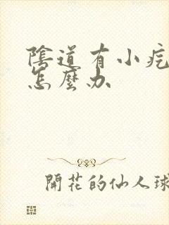 阴道有小疙瘩痒怎么办