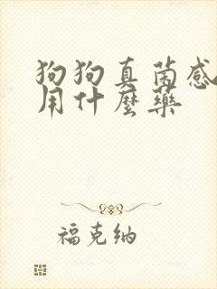 狗狗真菌感染治用什么药